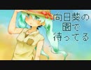 【初音ミク】 向日葵の園で待ってる 【オリジナル曲】