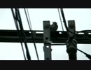 【コ】電柱を毎日つつく奴を撮ってみた【ゲラ☆】