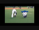 ドアラ　2015年4月11日その1
