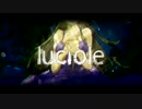 luciole