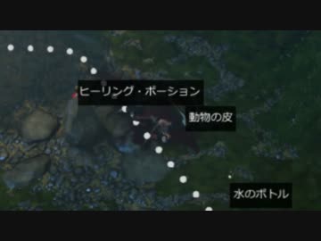のさんとボルトーさんのDivinity Original Sin vol.6