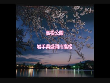 復興桜