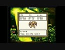 テリーのワンダーランド（縛り実況）その28