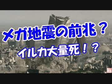 【メガ地震の前兆？】 イルカ大量打ち上げ！