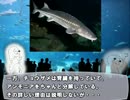 【ゆっくり解説】やる夫で学ぶ巨大生物１５【チョウザメ】