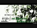 【ニコカラ】存在証明【off vocal】