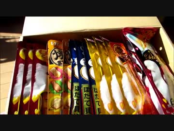 イナバぺットフードから届いたよ