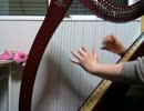 ハープで弾いてみた「遥かなる戦いの詩」
