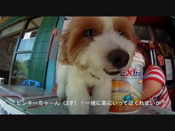 しんぼすこのここにいます２５。ぼっちが南の島を目指してみた