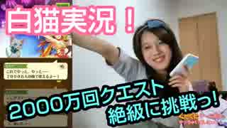 人気の 白猫プロジェクト 動画 5 784本 2 ニコニコ動画