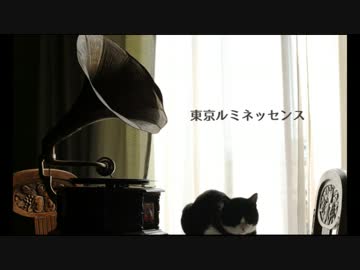 【昭和万歳】東京ルミネッセンス歌ってみた【多々良たま】
