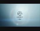 14/15 リーグアン第32節　ゴールハイライト