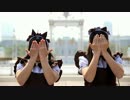 【あずさとみゆき】突然ですが、アイドル始めました【踊ってみた】