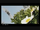 「春に一番近い街」を歌ってみた【きっく】