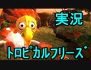 【ドンキーコングトロピカルフリーズ】会長の島を救う冒険記5【実況】