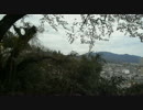 DSCN2007 2015.04.04 お花見　京都　北斗会.AVI