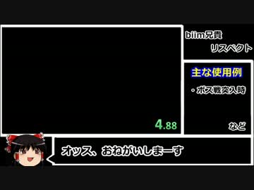 【更新】biim兄貴リスペクト動画支援RTA　2:49