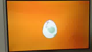 【ポケモン】色孵化中に起こった奇跡の瞬間