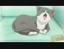 (きんモザ)東芝日曜劇場風　水曜アニメ・水もん　オープニングキャッチ