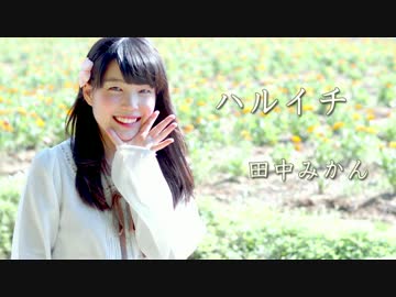 【田中みかん】 ハルイチ。 踊ってみた