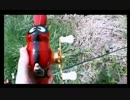 4.16こめ師また春がきた x264.aac.mp4