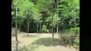 stilt village をコピー