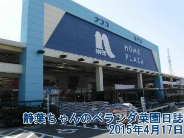 静葉ちゃんのベランダ菜園日誌　2015年4月17日
