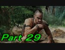 【FarCry3】狂気に満ちた無慈悲な島でサバイバル　29【実況】