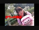 おちゃめ機能 歌って踊ってみたver,ぷちぽわ