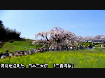 【NC750X】[福が満開、]福島・栃木　桜巡りツーリング2015[福のしま。]