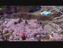 2015.04.12 高遠桜ツーリング