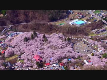 2015.04.12 高遠桜ツーリング