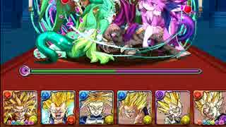 【パズドラ】　超サイヤ人PT　VS　アーミル