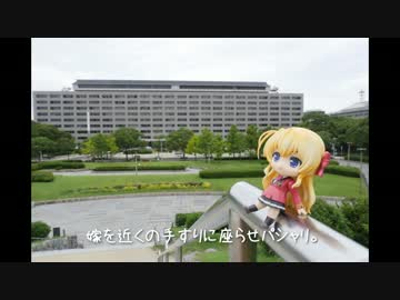 ニート、旅をする【94＆95日目】