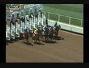 メイドンスペシャルウェイト　ゼニヤッタ産駒デビュー！