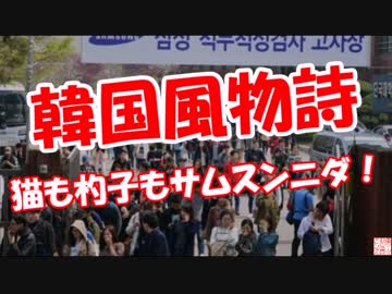 【風物詩】 猫も杓子もサムスンニダ！