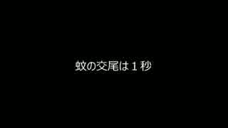 全く役に立たない動物知識