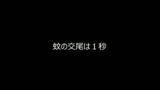 全く役に立たない動物知識