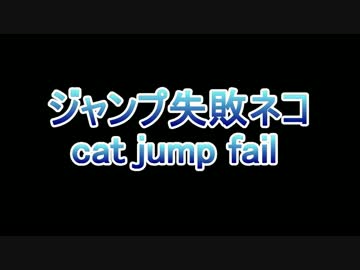 ジャンプに失敗してやばそうな表情をするネコ