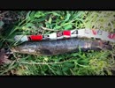 4.18こめ師雷魚釣りx264.aac.mp4