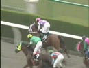 【競馬】追悼　サンアディユ　勝利レース全８戦