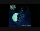 Raobar - The Circle