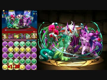 【パズドラ】アーミル降臨・地獄級【メイメイ】