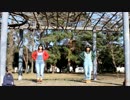 【初投稿】 メランコリック 【踊ってみた】