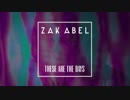 Zak Abel - These Are The Days