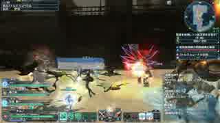 【PSO2】 チーム固定でXHワイルドイースター2