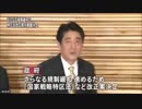 【国家戦略特区法の改正案】は外国人の売春婦を大量に入国させる法案