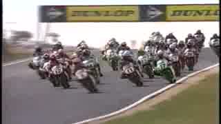 スーパーバイク世界選手権’９５　Rd.12フィリップアイランド　Race-1.2