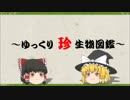 ～ゆっくり　珍　生物図鑑～　第46回 　フォツリス属