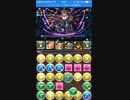 【パズドラ】極限ヘララッシュ　大喬入り小喬